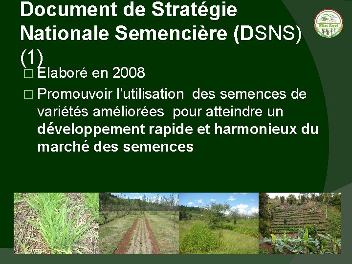 Document de Stratégie Nationale Semencière (DSNS) (1) � Elaboré en 2008 � Promouvoir l’utilisation