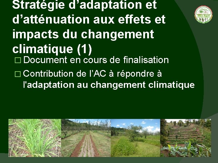 Stratégie d’adaptation et d’atténuation aux effets et impacts du changement climatique (1) � Document