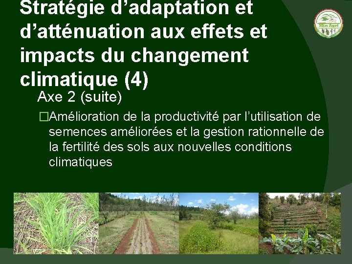Stratégie d’adaptation et d’atténuation aux effets et impacts du changement climatique (4) Axe 2
