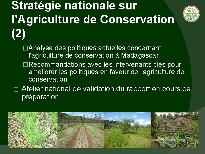 Stratégie nationale sur l’Agriculture de Conservation (2) �Analyse des politiques actuelles concernant l'agriculture de