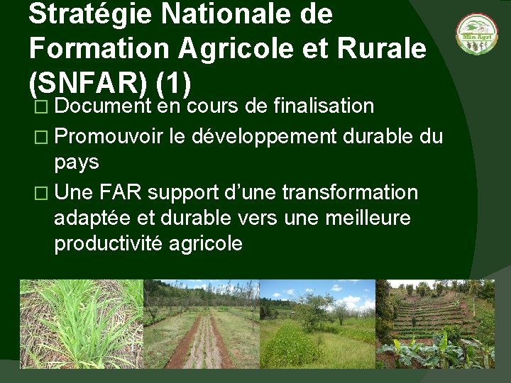 Stratégie Nationale de Formation Agricole et Rurale (SNFAR) (1) � Document en cours de