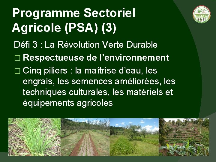 Programme Sectoriel Agricole (PSA) (3) Défi 3 : La Révolution Verte Durable � Respectueuse