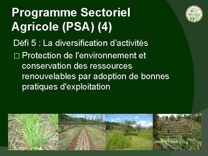 Programme Sectoriel Agricole (PSA) (4) Défi 5 : La diversification d’activités � Protection de