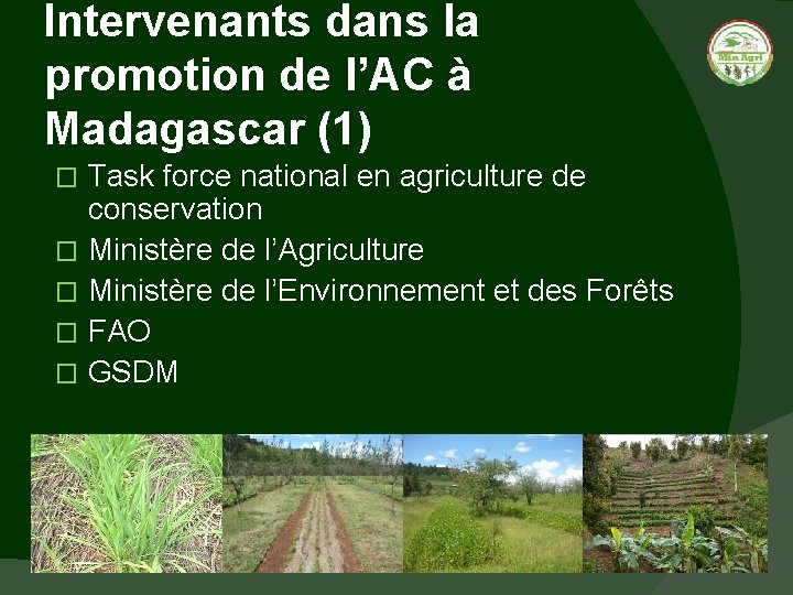 Intervenants dans la promotion de l’AC à Madagascar (1) Task force national en agriculture