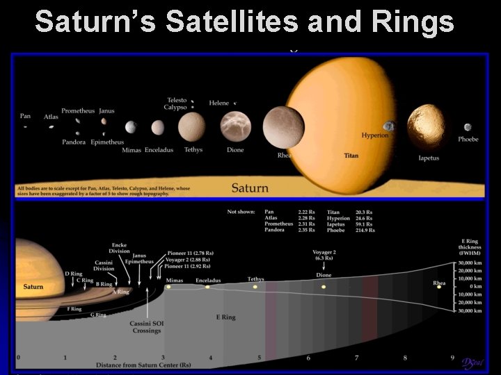 Saturn’s Satellites and Rings 