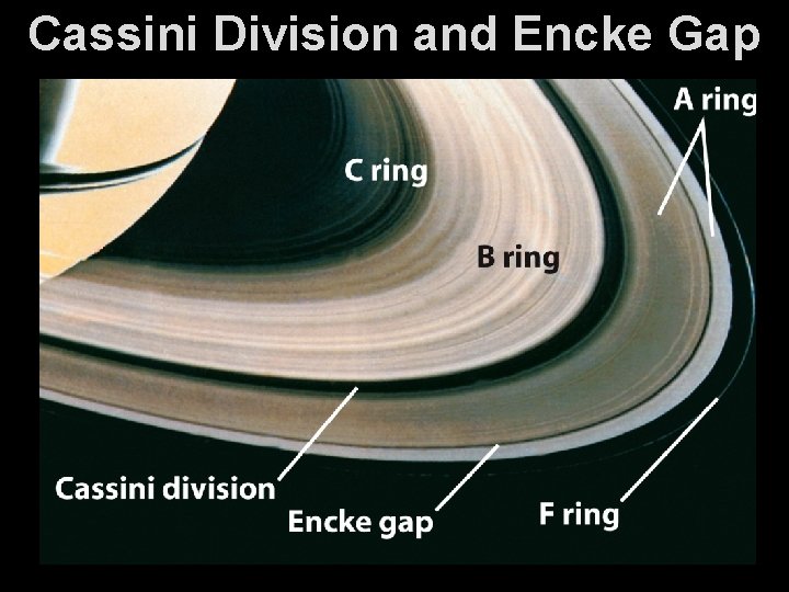 Cassini Division and Encke Gap 