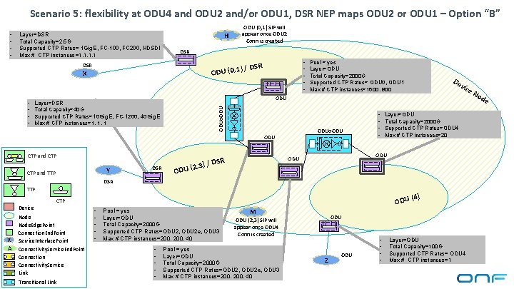 Scenario 5: flexibility at ODU 4 and ODU 2 and/or ODU 1, DSR NEP