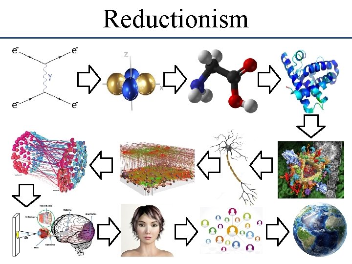 Reductionism Reductionism