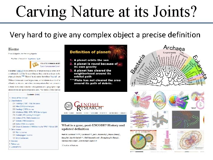 Carving Nature at its Joints? Very hard to give any complex object a precise Carving Nature at its Joints? Very hard to give any complex object a precise