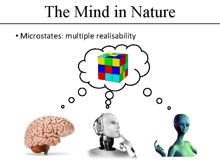 The Mind in Nature • Microstates: multiple realisability The Mind in Nature • Microstates: multiple realisability