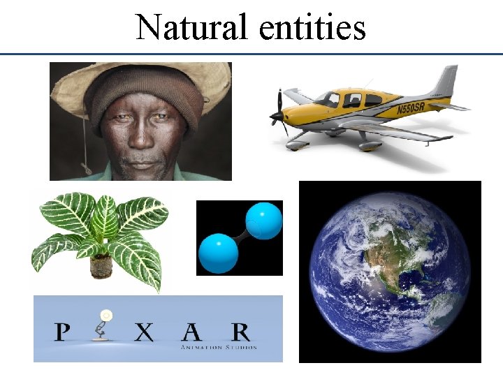 Natural entities Natural entities