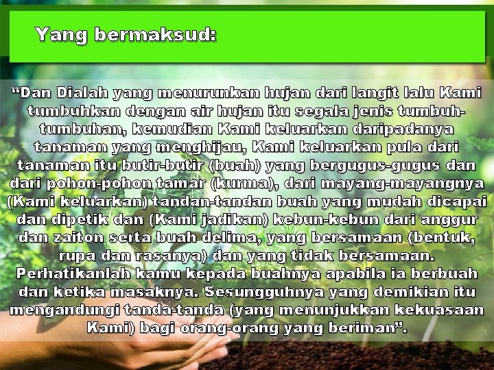 Yang bermaksud: “Dan Dialah yang menurunkan hujan dari langit lalu Kami tumbuhkan dengan air