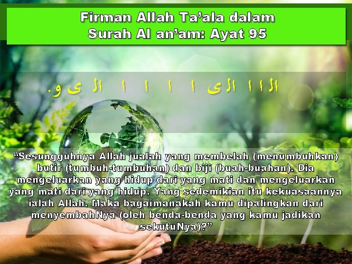 Firman Allah Ta’ala dalam Surah Al an’am: Ayat 95 . ﺍﻟ ﺍ ﺍ ﺍﻟ