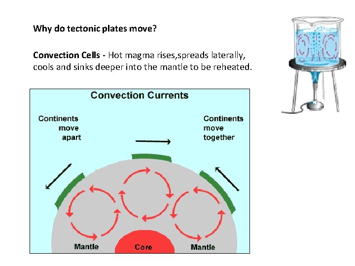 Why do tectonic plates move? Convection Cells - Hot magma rises, spreads laterally, cools