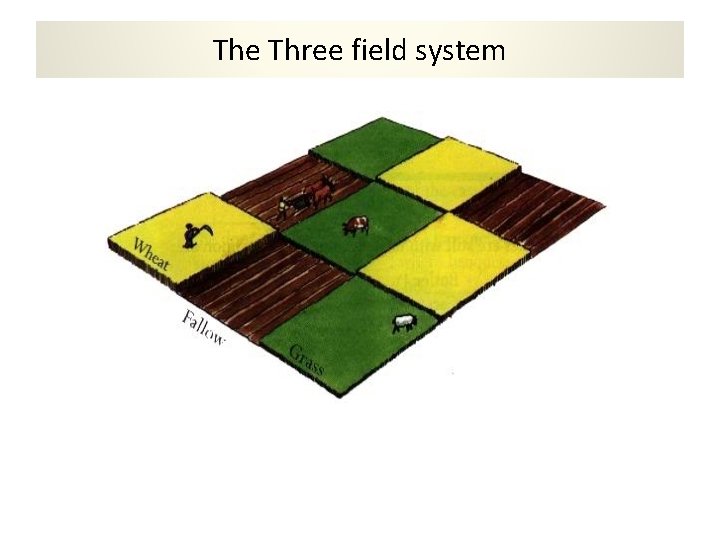 The Three field system 