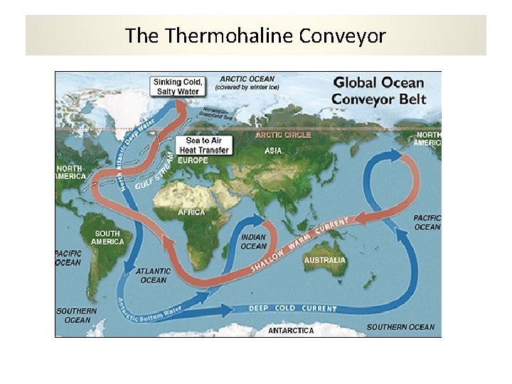 The Thermohaline Conveyor 