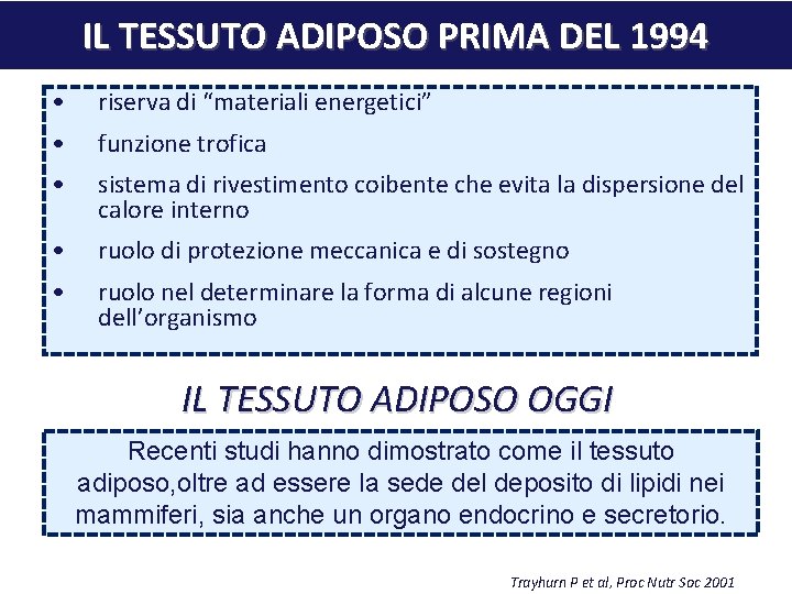 IL TESSUTO ADIPOSO PRIMA DEL 1994 • riserva di “materiali energetici” • funzione trofica