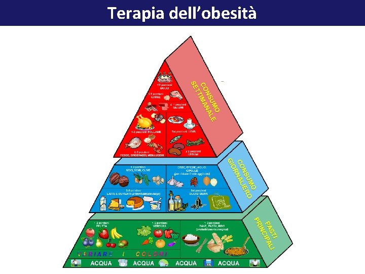 Terapia dell’obesità 