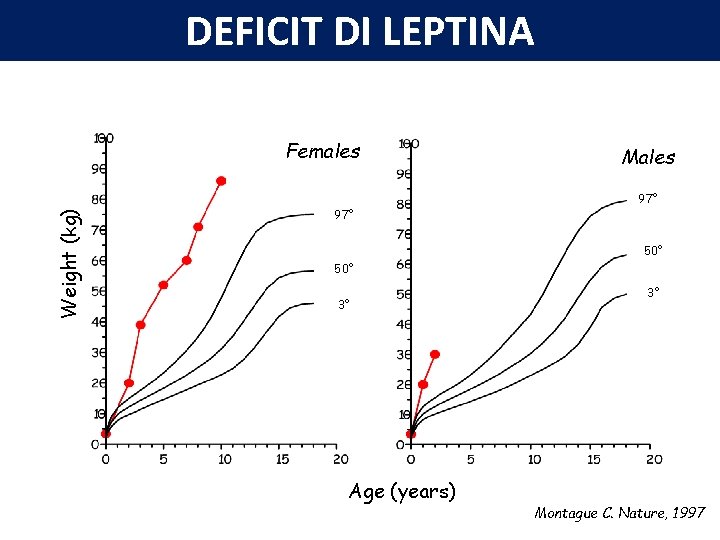 DEFICIT DI LEPTINA Weight (kg) Females 97° Males 97° 50° 3° Age (years) 3°