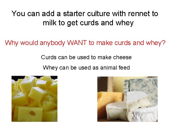 You can add a starter culture with rennet to milk to get curds and