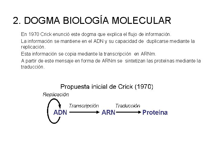 2. DOGMA BIOLOGÍA MOLECULAR En 1970 Crick enunció este dogma que explica el flujo