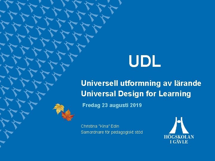 UDL Universell utformning av lärande Universal Design for Learning Fredag 23 augusti 2019 Christina