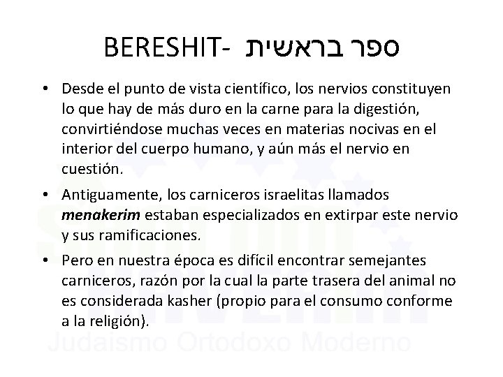 BERESHIT- בראשית ספר • Desde el punto de vista científico, los nervios constituyen lo