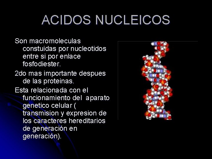 ACIDOS NUCLEICOS Son macromoleculas constuidas por nucleotidos entre si por enlace fosfodiester. 2 do