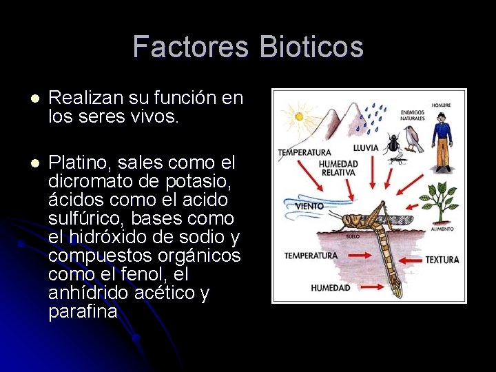 Factores Bioticos l Realizan su función en los seres vivos. l Platino, sales como