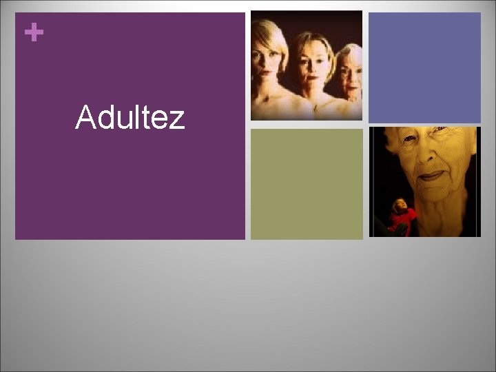 + Adultez 