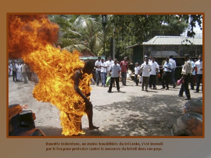 Bowatte Indaratane, un moine bouddhiste du Sri Lanka, s’est immolé par le feu pour