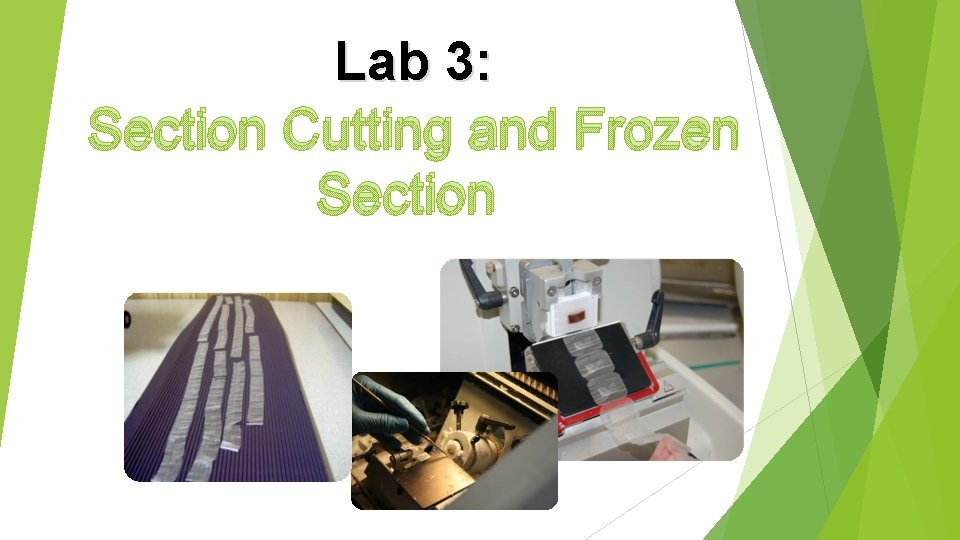 Lab 3: Section Cutting and Frozen Section 