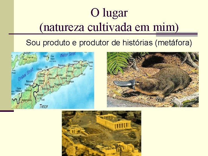 O lugar (natureza cultivada em mim) Sou produto e produtor de histórias (metáfora) 