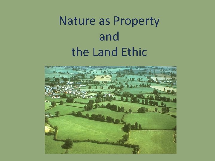 Nature as Property and the Land Ethic 