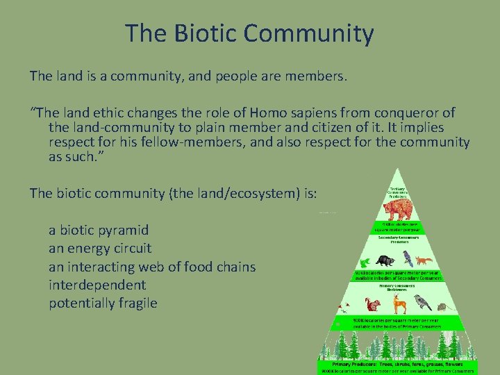 The Biotic Community The land is a community, and people are members. “The land