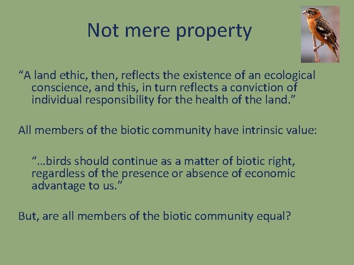 Not mere property “A land ethic, then, reflects the existence of an ecological conscience,