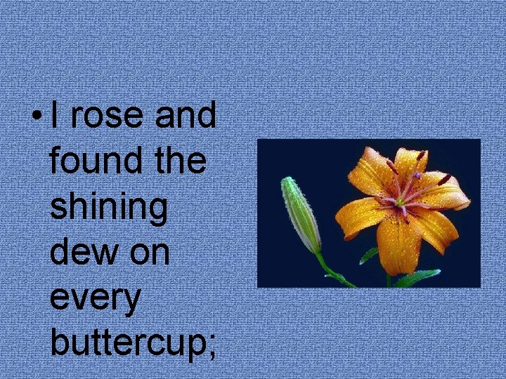  • I rose and found the shining dew on every buttercup; 