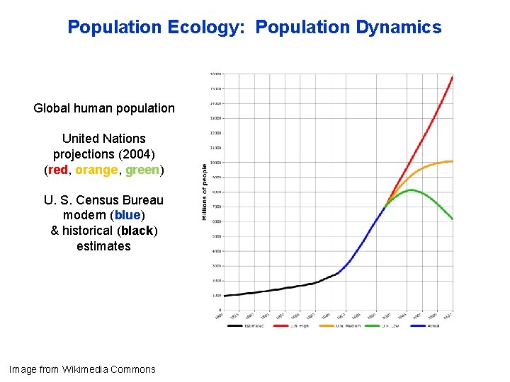 Population Ecology: Population Dynamics Global human population United Nations projections (2004) (red, orange, green)