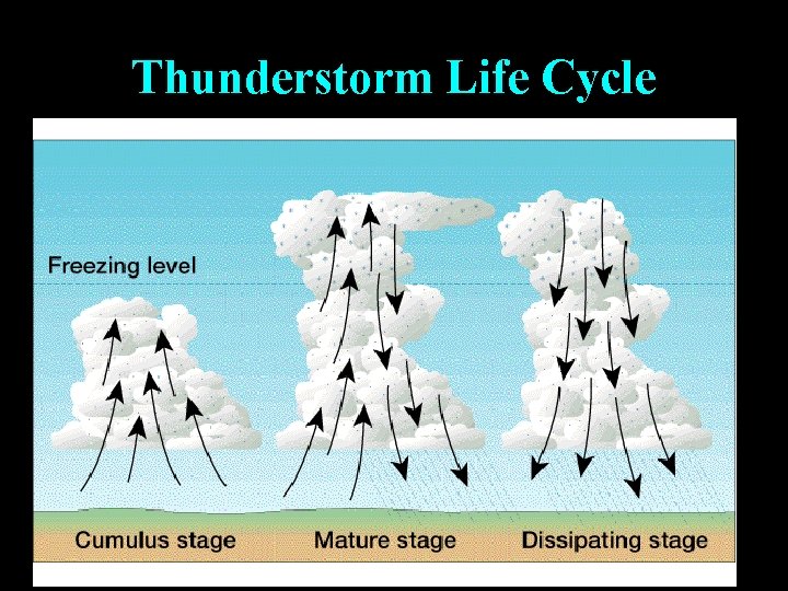 Thunderstorm Life Cycle 