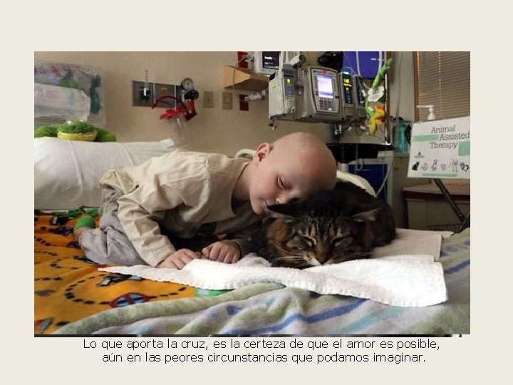 Lo que aporta la cruz, es la certeza de que el amor es posible,