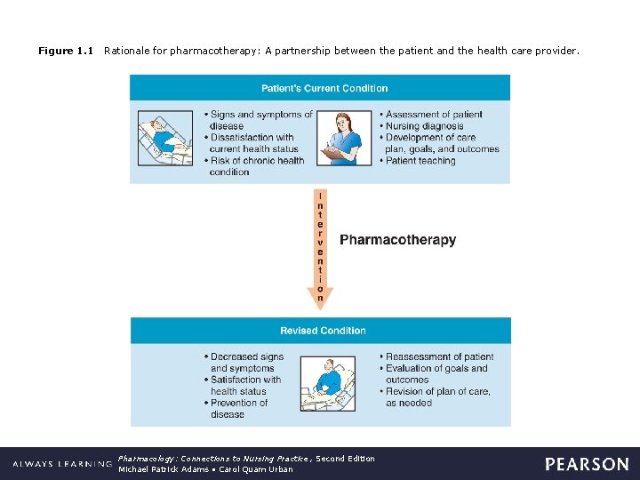 Figure 1. 1 Rationale for pharmacotherapy: A partnership between the patient and the health