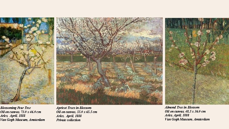 Blossoming Pear Tree Oil on canvas, 73. 0 x 46. 0 cm Arles, April,