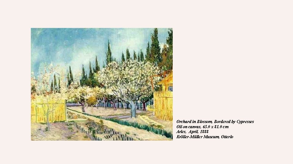 Orchard in Blossom, Bordered by Cypresses Oil on canvas, 65. 0 x 81. 0