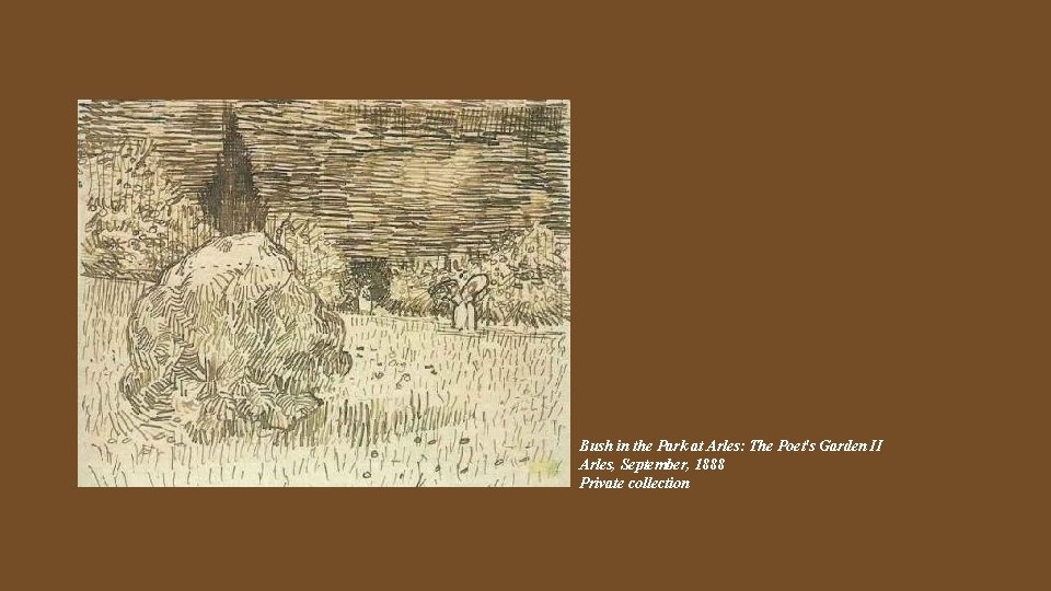 Bush in the Park at Arles: The Poet's Garden II Arles, September, 1888 Private