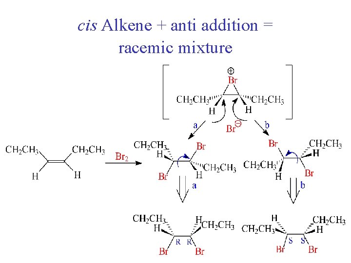 cis Alkene + anti addition = racemic mixture 
