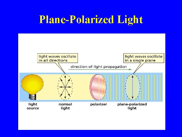 Plane-Polarized Light 