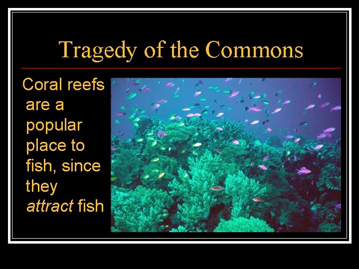 Tragedy of the Commons Coral reefs are a popular place to fish, since they