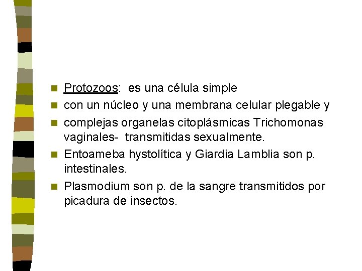 n n n Protozoos: es una célula simple con un núcleo y una membrana n n n Protozoos: es una célula simple con un núcleo y una membrana