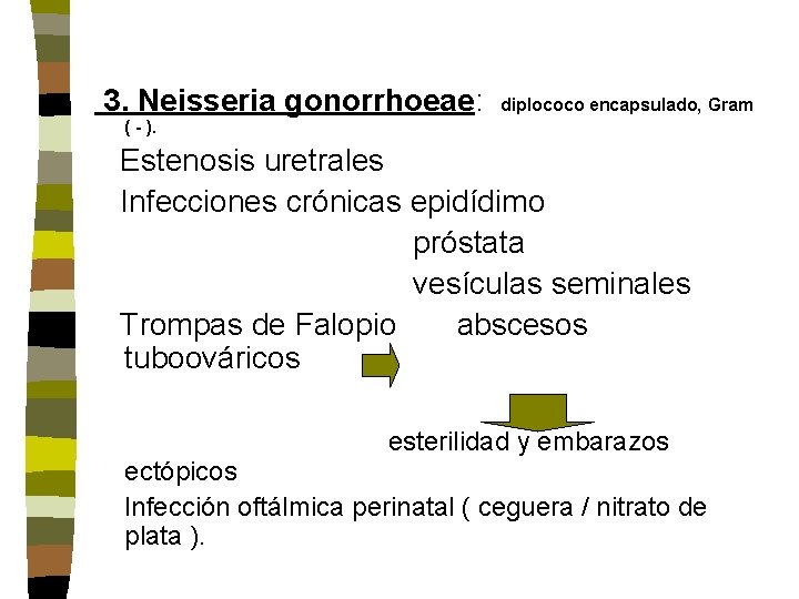 3. Neisseria gonorrhoeae: diplococo encapsulado, Gram ( - ). Estenosis uretrales Infecciones crónicas 3. Neisseria gonorrhoeae: diplococo encapsulado, Gram ( - ). Estenosis uretrales Infecciones crónicas