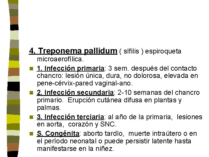 4. Treponema pallidum ( sífilis ) espiroqueta n n microaerofílica. 1. Infección primaria: 3 4. Treponema pallidum ( sífilis ) espiroqueta n n microaerofílica. 1. Infección primaria: 3